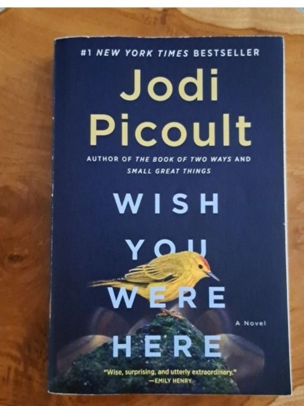Jodi Picoult "Wish You Were Here" Paperback